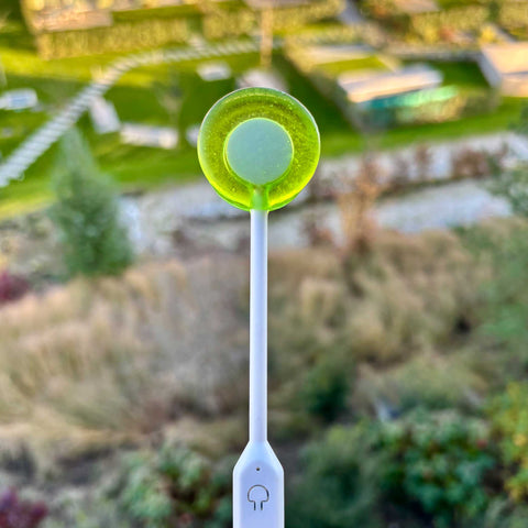 Green apple lollipop on a blurred natural background